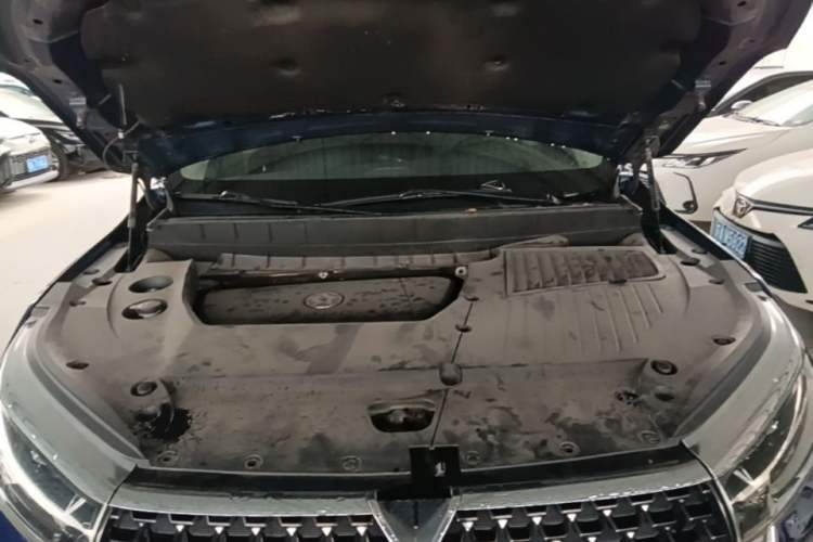 Used Venucia Star 2020 260T Automatic 48V Mild Hybrid Turbocharged Starry Edition Engine Bay