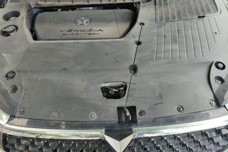 Used Venucia Star 2020 260T Automatic 48V Mild Hybrid Turbocharged Starry Edition Engine Bay