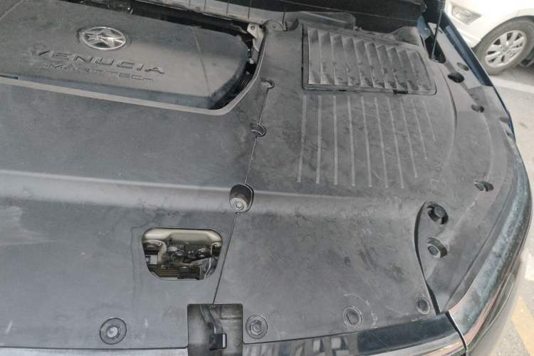 Used Venucia Star 2020 260T Automatic 48V Mild Hybrid Turbocharged Starry Edition Engine Bay Left