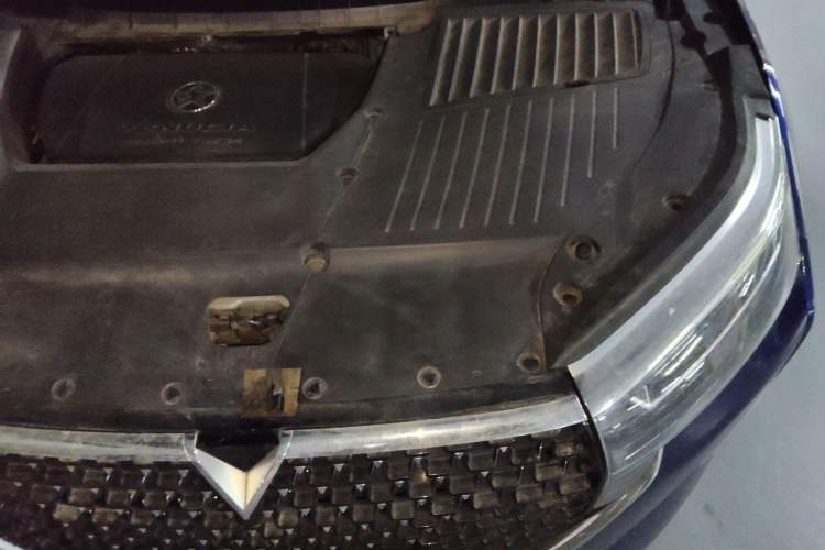 Used Venucia Star 2020 260T Automatic 48V Mild Hybrid Turbocharged Starry Edition Engine Bay Left