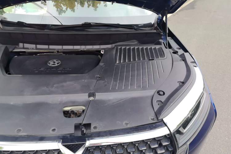 Used Venucia Star 2020 260T Automatic 48V Mild Hybrid Turbocharged Starry Edition Engine Bay Left