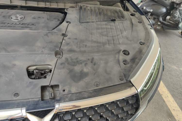 Used Venucia Star 2020 260T Automatic 48V Mild Hybrid Turbocharged Star Edition Engine Bay Left