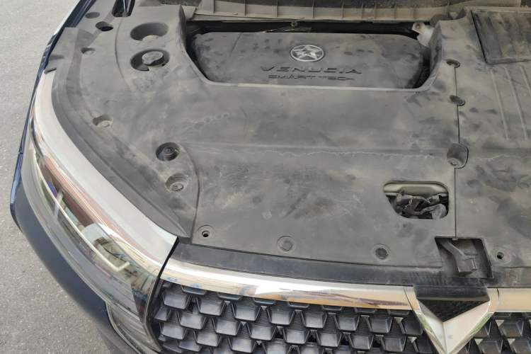 Used Venucia Star 2020 260T Automatic 48V Mild Hybrid Turbocharged Star Edition Engine Bay Right