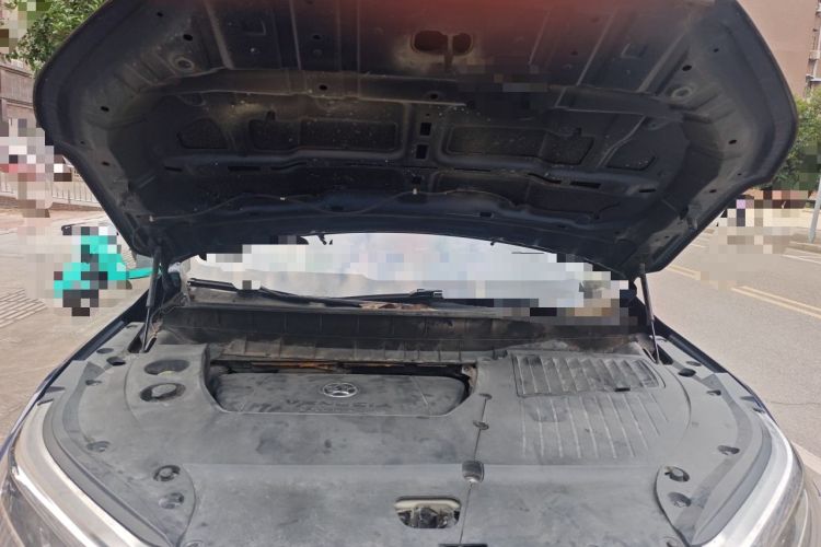 Used Venucia Star 2020 260T Automatic XingShang Edition Engine Bay