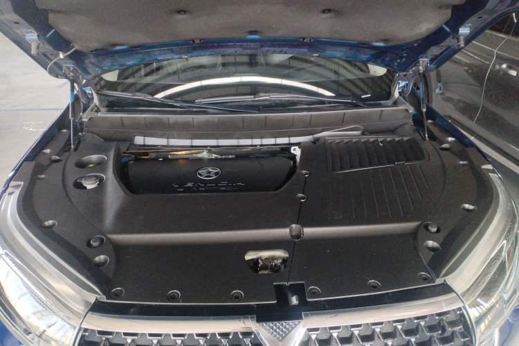 Used Venucia Star 2020 260T Automatic 48V Mild Hybrid Turbocharged Starry Edition Engine Bay