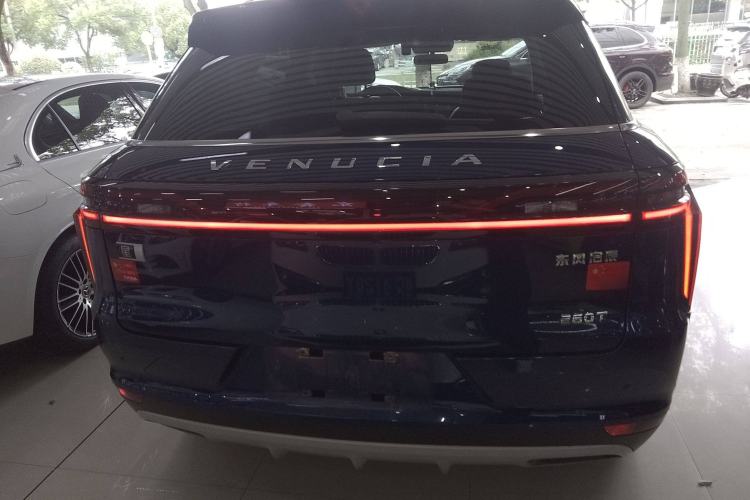 Used Venucia Star 2020 260T Automatic 48V Mild Hybrid Turbocharged Star Edition Exterior 4
