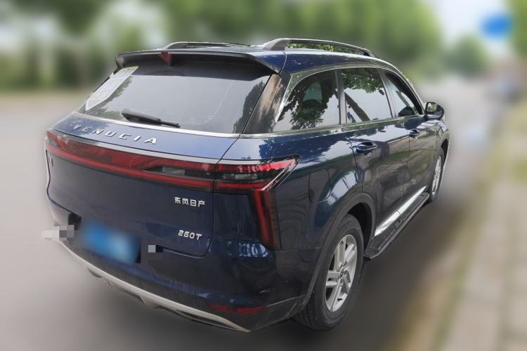 Used Venucia Star 2020 260T Manual Starjoy Edition Exterior 5