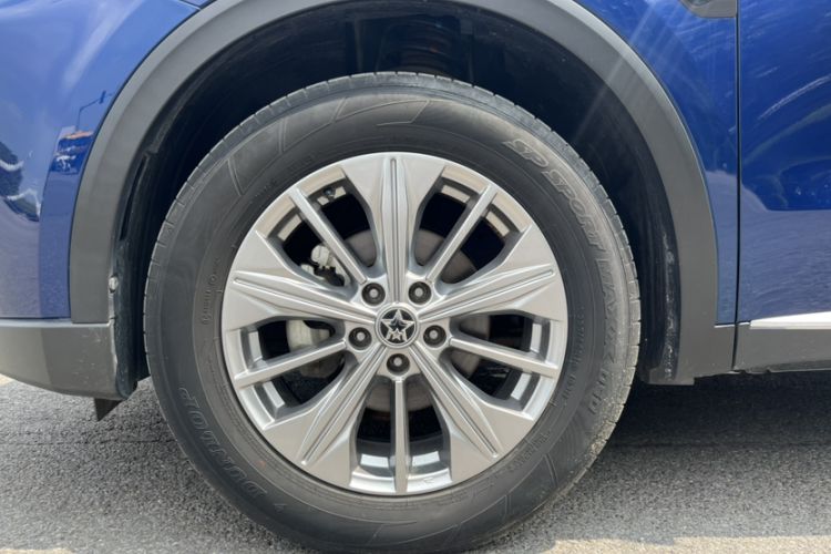 Used Venucia Star 2020 260T Automatic 48V Mild Hybrid Turbocharged Star Edition Exterior 8