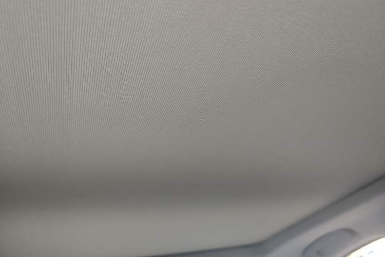 Used Venucia Star 2020 260T Automatic XingShang Edition Headliner