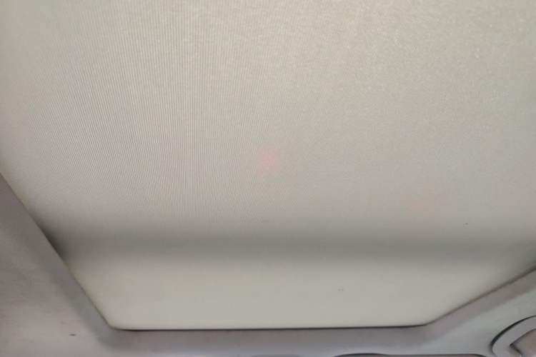 Used Venucia Star 2020 260T Automatic XingShang Edition Headliner
