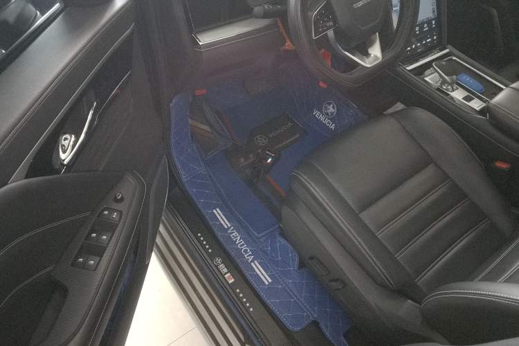 Used Venucia Star 2020 260T Automatic 48V Mild Hybrid Turbocharged Star Edition Interior 3