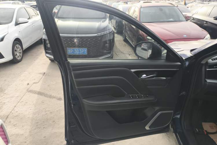 Used Venucia Star 2020 260T Automatic 48V Mild Hybrid Turbocharged Star Edition Left Front Door Interior
