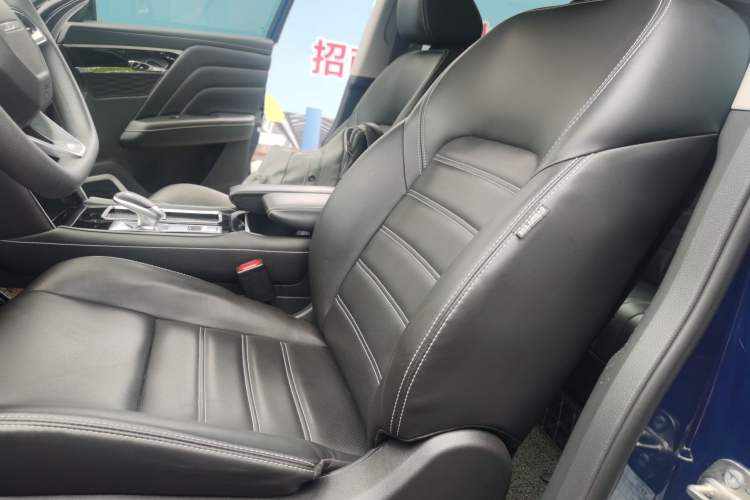 Used Venucia Star 2020 260T Automatic XingShang Edition Left Front Seat
