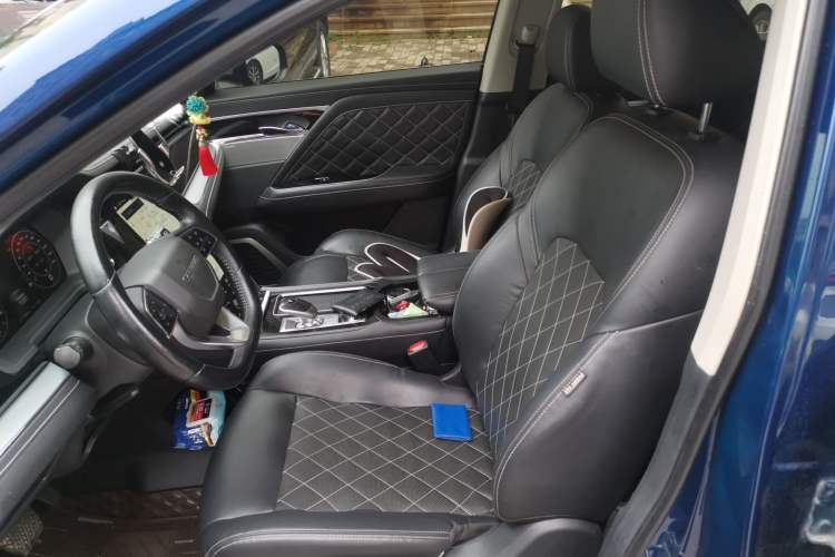 Used Venucia Star 2020 260T Automatic 48V Mild Hybrid Turbocharged StarRui Edition Left Front Seat
