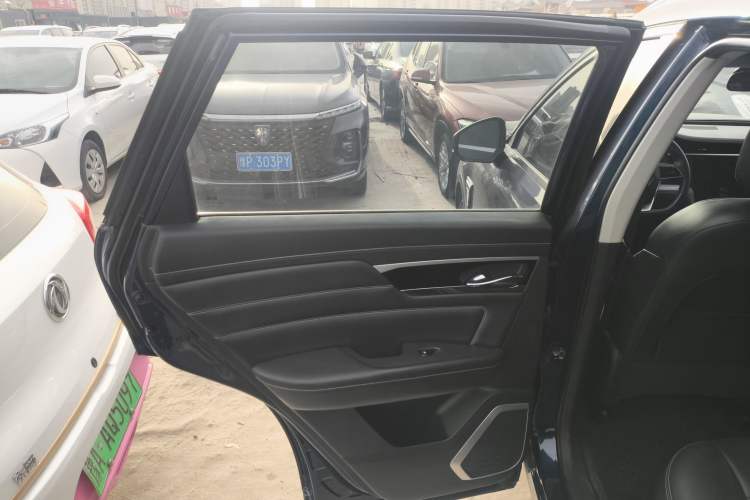 Used Venucia Star 2020 260T Automatic 48V Mild Hybrid Turbocharged Star Edition Left Rear Door Interior
