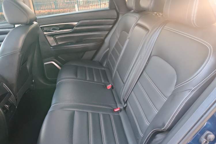 Used Venucia Star 2020 260T Automatic 48V Mild Hybrid Turbocharged Star Edition Left Rear Seat