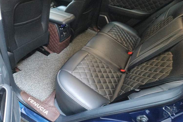 Used Venucia Star 2020 260T Automatic 48V Mild Hybrid Turbocharged Starry Edition Left Rear Seat