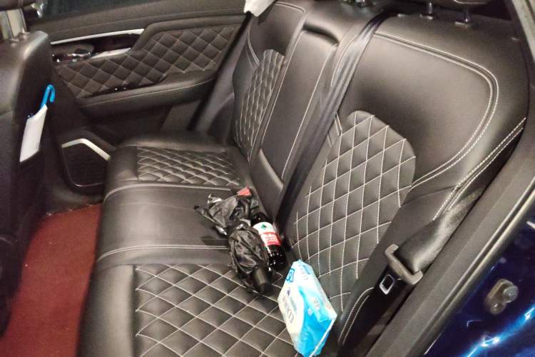 Used Venucia Star 2020 260T Automatic 48V Mild Hybrid Turbocharged Starry Edition Left Rear Seat