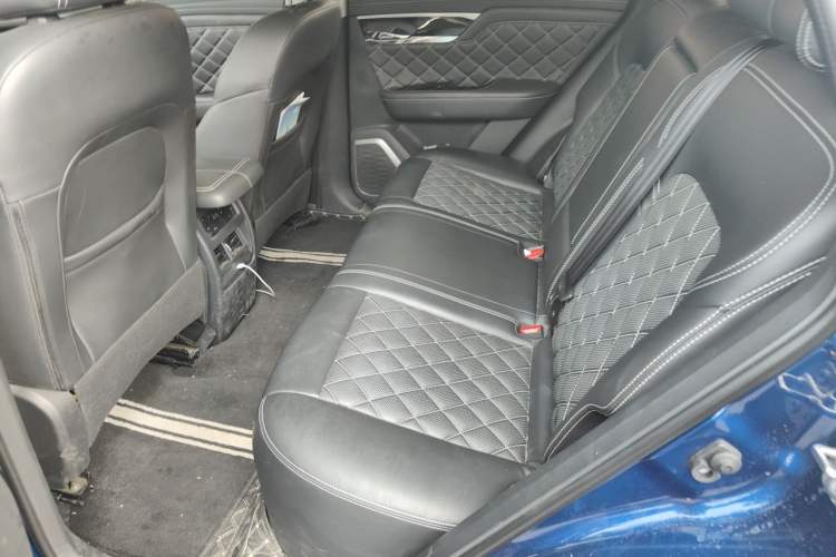 Used Venucia Star 2020 260T Automatic 48V Mild Hybrid Turbocharged Starry Edition Left Rear Seat