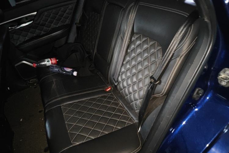 Used Venucia Star 2020 260T Automatic 48V Mild Hybrid Turbocharged Starry Edition Left Rear Seat