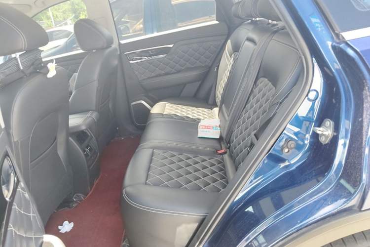 Used Venucia Star 2020 260T Automatic 48V Mild Hybrid Turbocharged Starry Edition Left Rear Seat