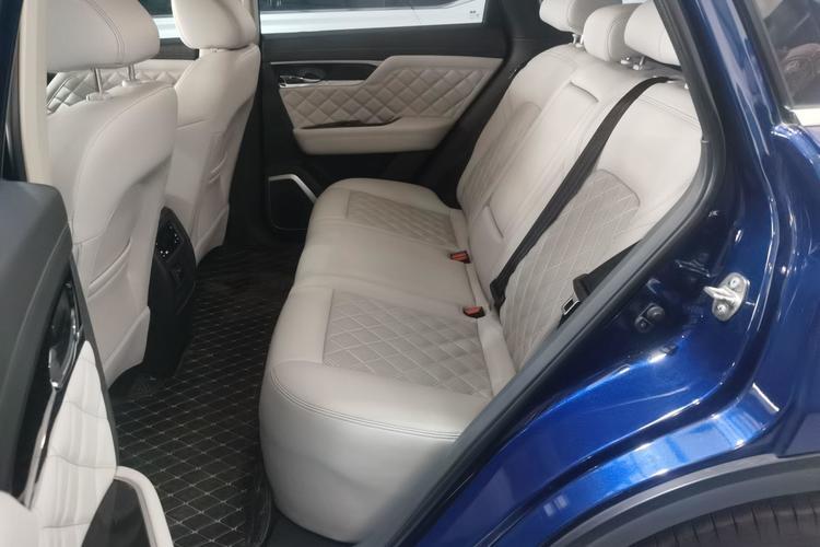 Used Venucia Star 2020 260T Automatic 48V Mild Hybrid Turbocharged Starry Edition Left Rear Seat