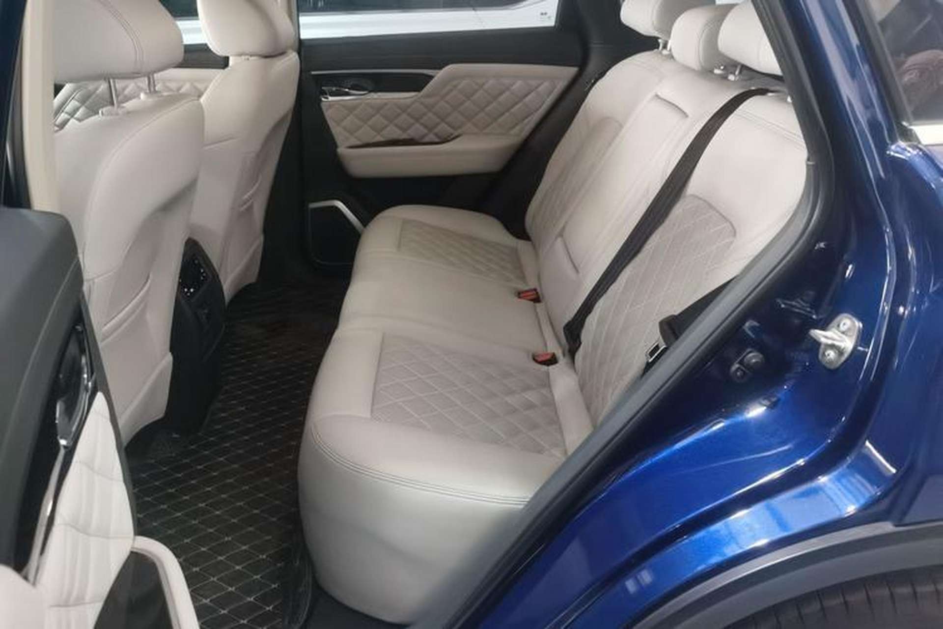 Used Venucia Star 2020 260T Automatic 48V Mild Hybrid Turbocharged Starry Edition Left Rear Seat