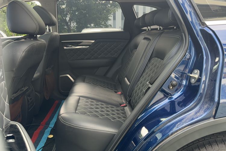 Used Venucia Star 2020 260T Automatic 48V Mild Hybrid Turbocharged Starry Edition Left Rear Seat