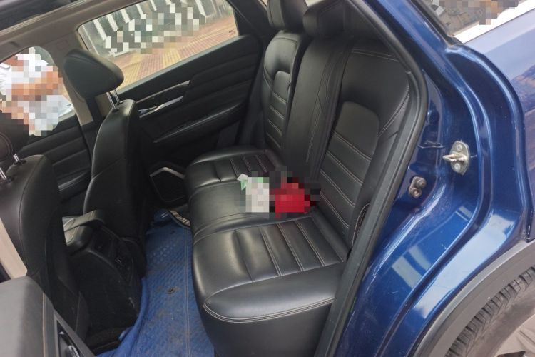 Used Venucia Star 2020 260T Automatic XingShang Edition Left Rear Seat