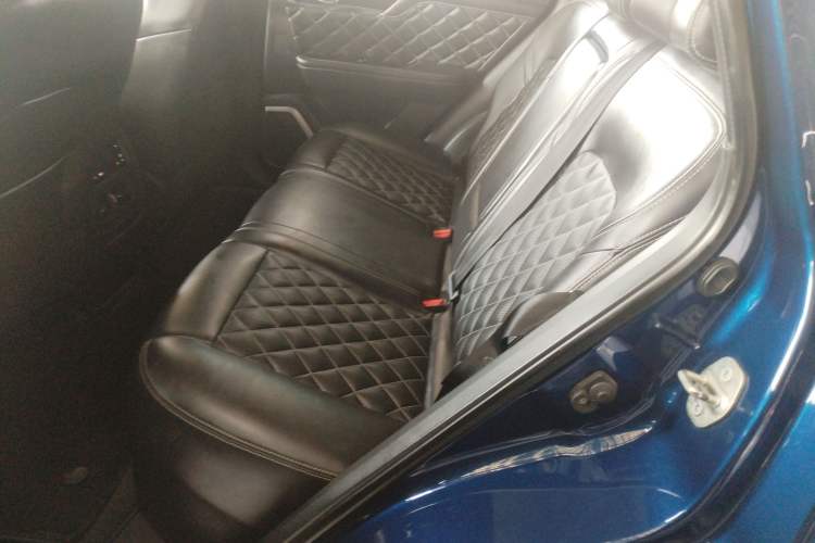 Used Venucia Star 2020 260T Automatic 48V Mild Hybrid Turbocharged Starry Edition Left Rear Seat