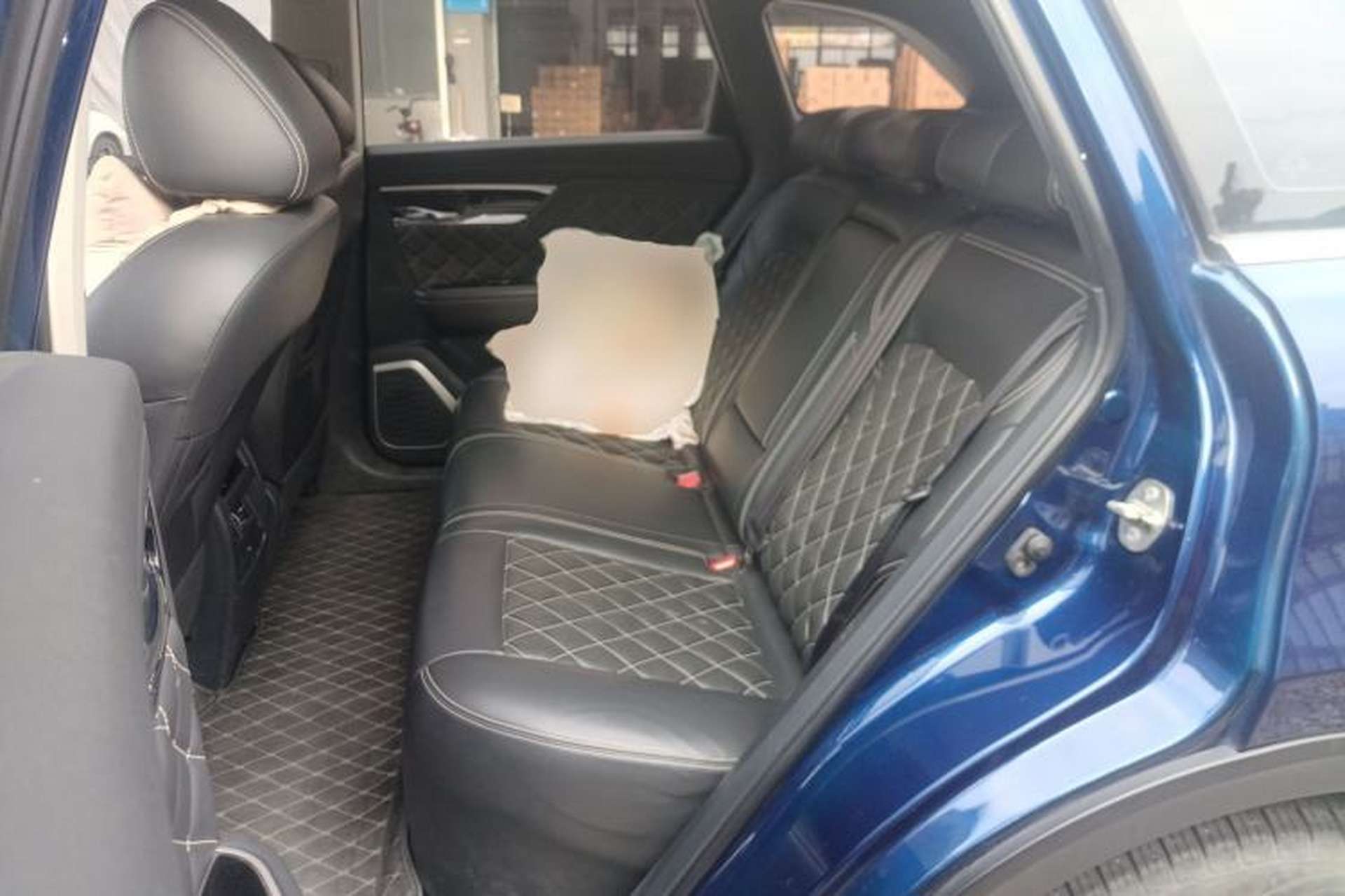 Used Venucia Star 2020 260T Automatic 48V Mild Hybrid Turbocharged Starry Edition Left Rear Seat