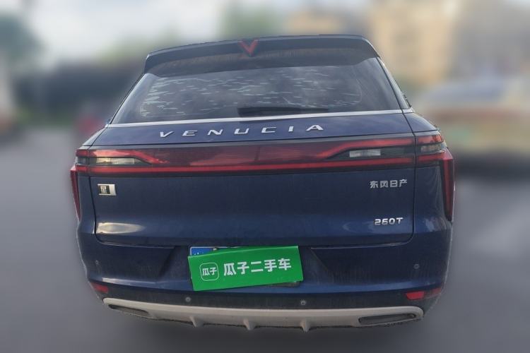 Used Venucia Star 2020 260T Automatic XingShang Edition Rear