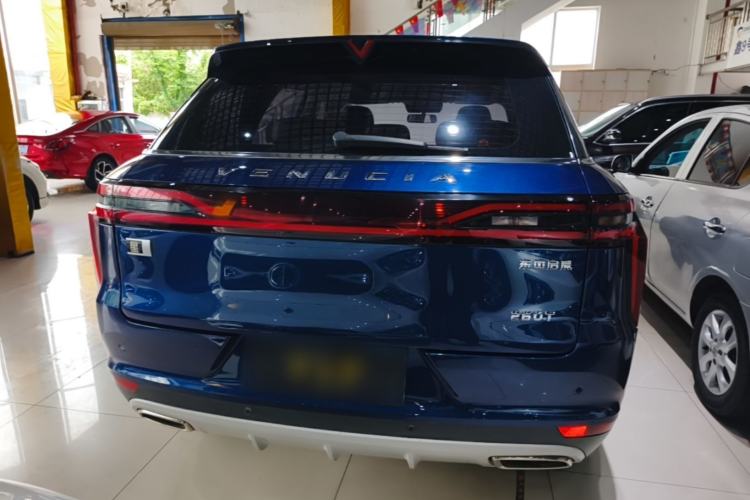 Used Venucia Star 2020 260T Automatic 48V Mild Hybrid Turbocharged Starry Edition Rear