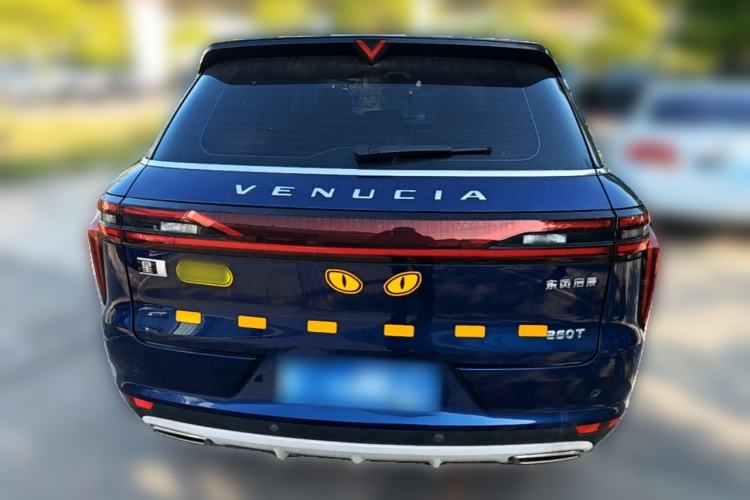 Used Venucia Star 2020 260T Automatic 48V Mild Hybrid Turbocharged Starry Edition Rear
