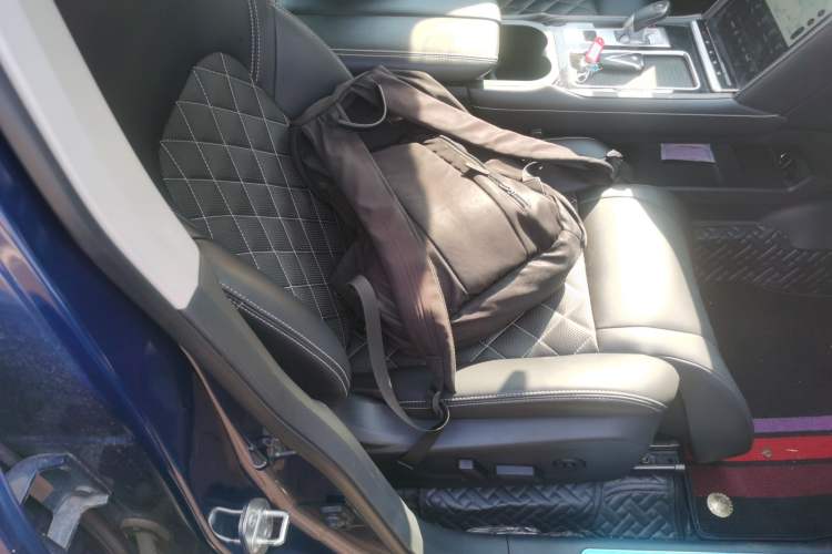 Used Venucia Star 2020 260T Automatic 48V Mild Hybrid Turbocharged Starry Edition Right Front Seat