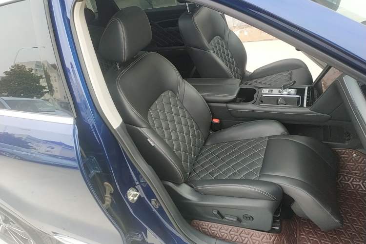 Used Venucia Star 2020 260T Automatic 48V Mild Hybrid Turbocharged Starry Edition Right Front Seat