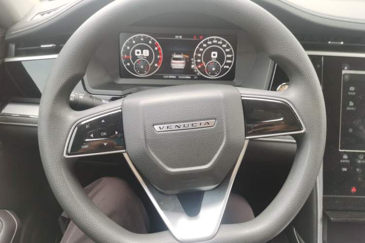 Used Venucia Star 2020 260T Automatic XingShang Edition Steering Wheel