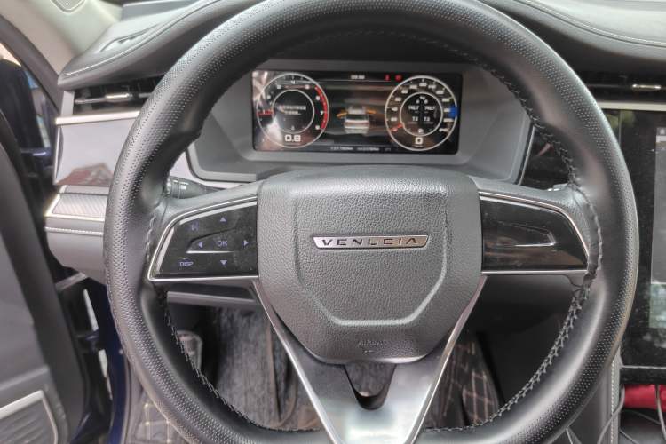 Used Venucia Star 2020 260T Manual Starjoy Edition Steering Wheel
