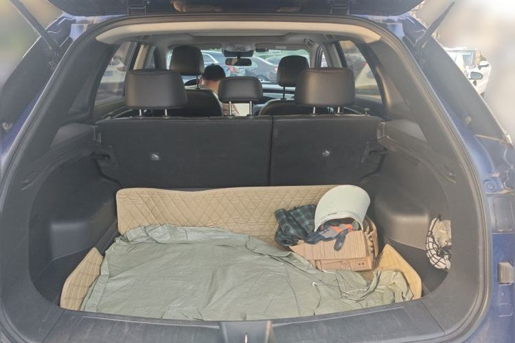 Used Venucia Star 2020 260T Automatic XingShang Edition Trunk