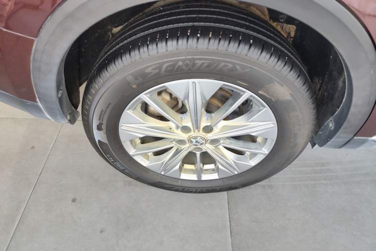 Used Venucia Star 2020 260T Automatic 48V Mild Hybrid Turbocharged Star Edition Exterior 5