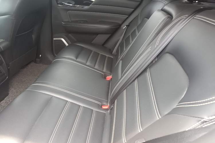Used Venucia Star 2020 260T Automatic 48V Mild Hybrid Turbocharged Star Edition Left Rear Seat