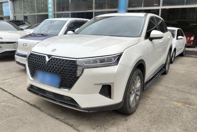 Used Venucia Star 2020 260T Automatic XingShang Edition