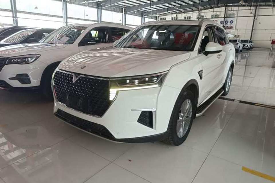 Venucia Star 2020