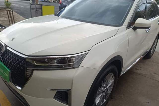 Used Venucia Star 2020 260T Automatic XingShang Edition