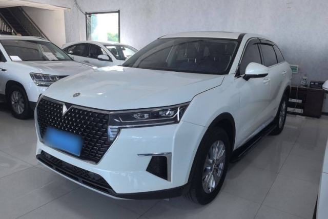 Used Venucia Star 2020 260T Automatic XingShang Edition