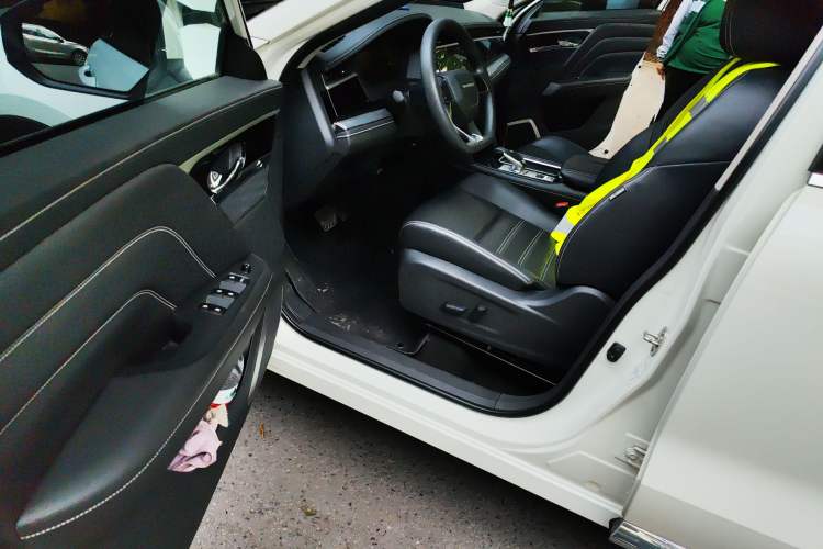 Used Venucia Star 2020 260T Automatic XingShang Edition Driver Seat