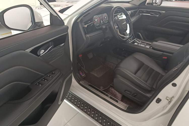 Used Venucia Star 2020 260T Automatic 48V Mild Hybrid Turbocharged Star Edition Driver Seat