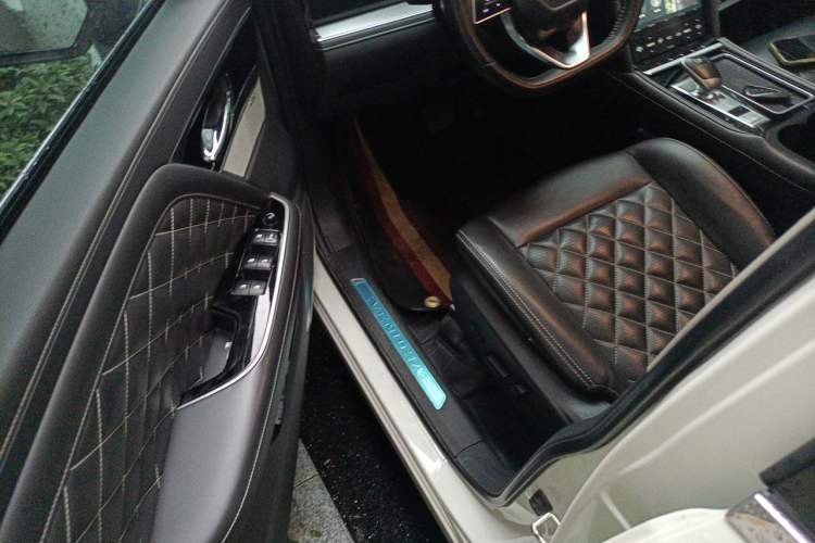 Used Venucia Star 2020 260T Automatic 48V Mild Hybrid Turbocharged Starry Edition Driver Seat