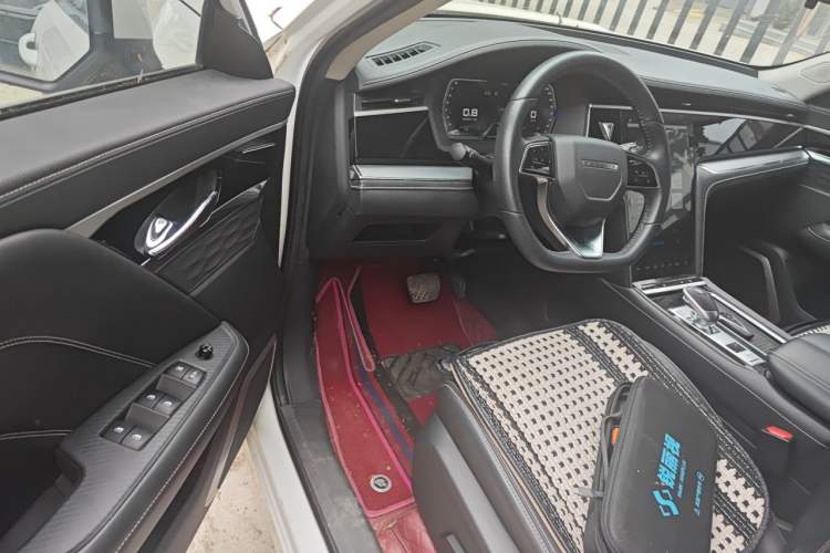 Used Venucia Star 2020 260T Automatic 48V Mild Hybrid Turbocharged Star Edition Driver Seat