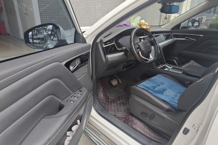 Used Venucia Star 2020 260T Automatic 48V Mild Hybrid Turbocharged Star Edition Driver Seat